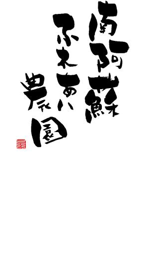 予約なし!時間制限なし!先着順のイチゴ農園